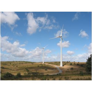 img_0280.jpg